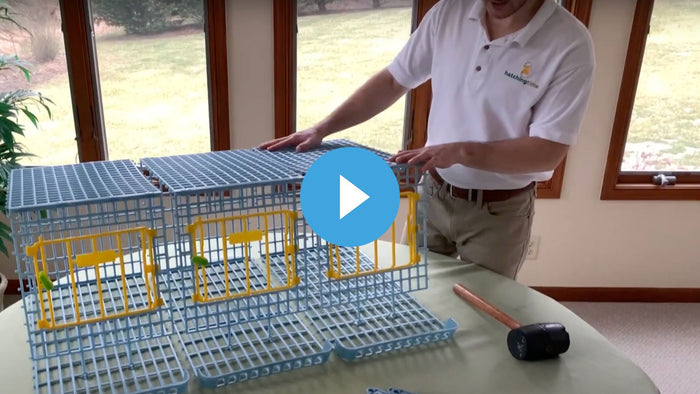 15 inch chicken cage assembly video thumbnail