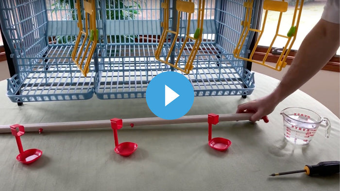 22 inch chicken cage assembly video thumbnail