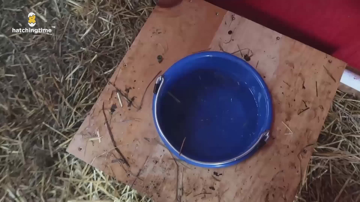 16" Poultry Drinker Heater Cable 12W video
