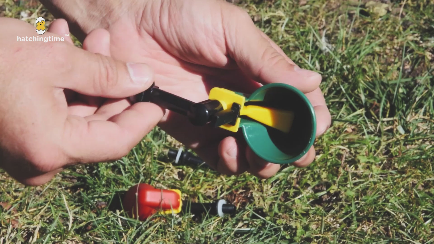 Auto-Fill Poultry Drinker Cups with Extension and Wing Nut