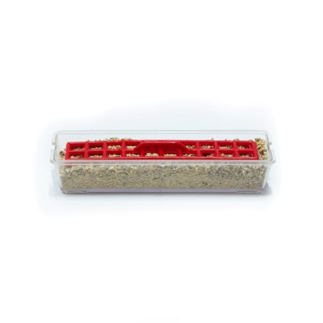 Baby Chick Starter Feeder
