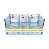 Hatching Time Cimuka. TYK40 15” Chicken cage 1 layer. Image shows chicken cage from front and above. Roof and front walls are removed to show inside of cage. Roll out egg trays can be seen on front under feeding trough. Automatic drinker system is seen on back wall of cage.