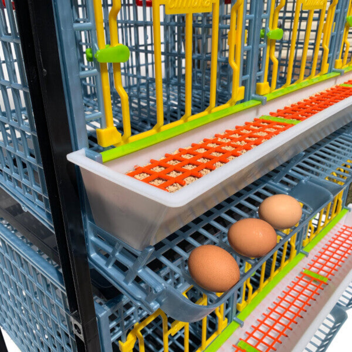 Hatching Time Cimuka. TYK40 15” Chicken cage 1 layer. Image shows chicken cage from angled view. Close up view shows 3 eggs are in roll out egg tray for easy egg collection. Full feeding trough with smart feeder grill can be seen.