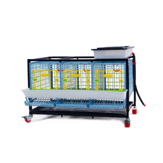 Hatching Time Cimuka. TYK40 15” Chicken cage 1 layer. Image shows chicken cage front. Roll out egg trays can be seen on front under feeding trough. Water reservoir tank is on top of cage with hose going down for automatic drinker system.