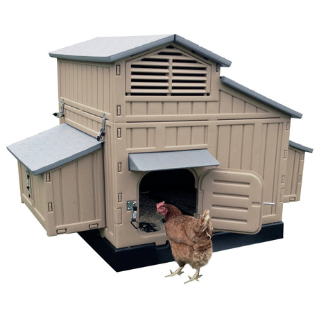 Hatching Time Formex. Chicken coop can be seen in image with a chicken standing in front for scale.