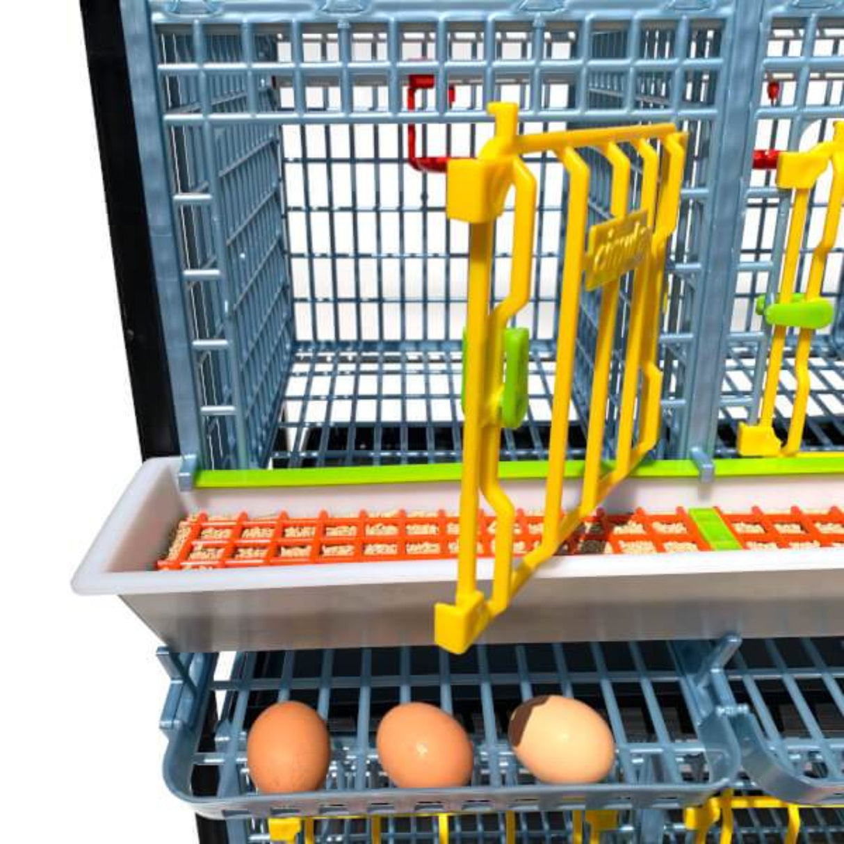 Hatching Time Cimuka. TYK40 15” Chicken cage 2 layer. Image shows chicken cage from front with door open. Full feeding trough with smart feeder can be seen on front. 3 eggs in roll out egg trays can be seen for easy egg collection.