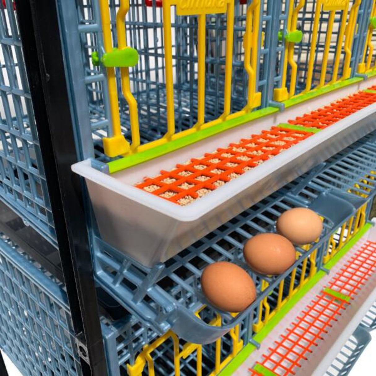 Hatching Time Cimuka. TYK40 15” Chicken cage 2 layer. Image shows chicken cage from angled view. Close up view shows 3 eggs are in roll out egg tray for easy egg collection. Full feeding trough with smart feeder grill can be seen.