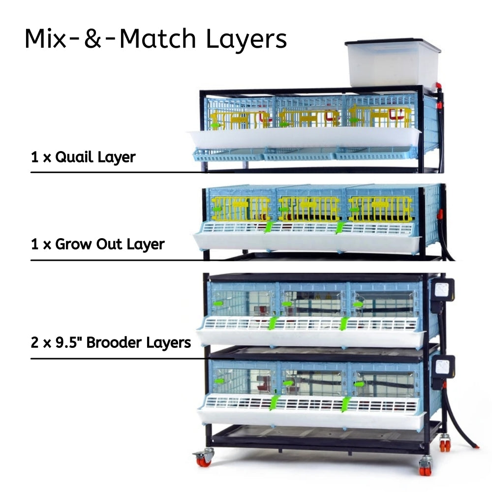 Choose Between Different Layer Additions