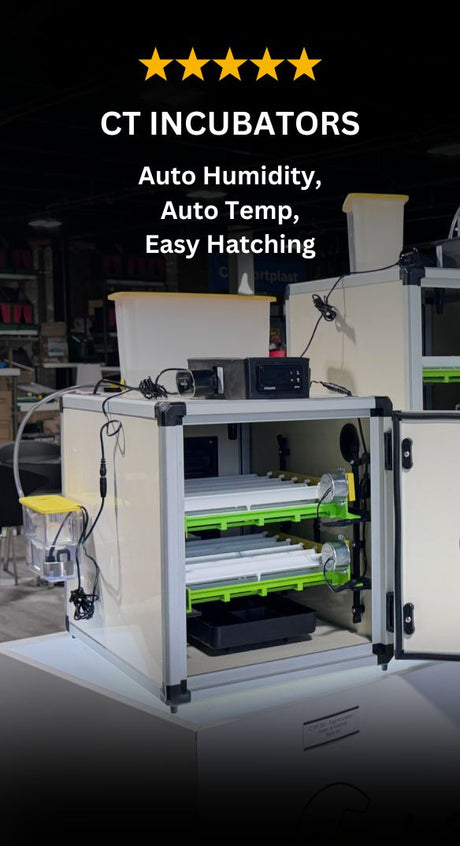 CT series egg incubators