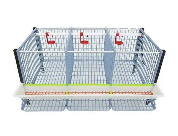 Elliptical Flooring Provides Perfect Breeding Conditions - Hatching Time