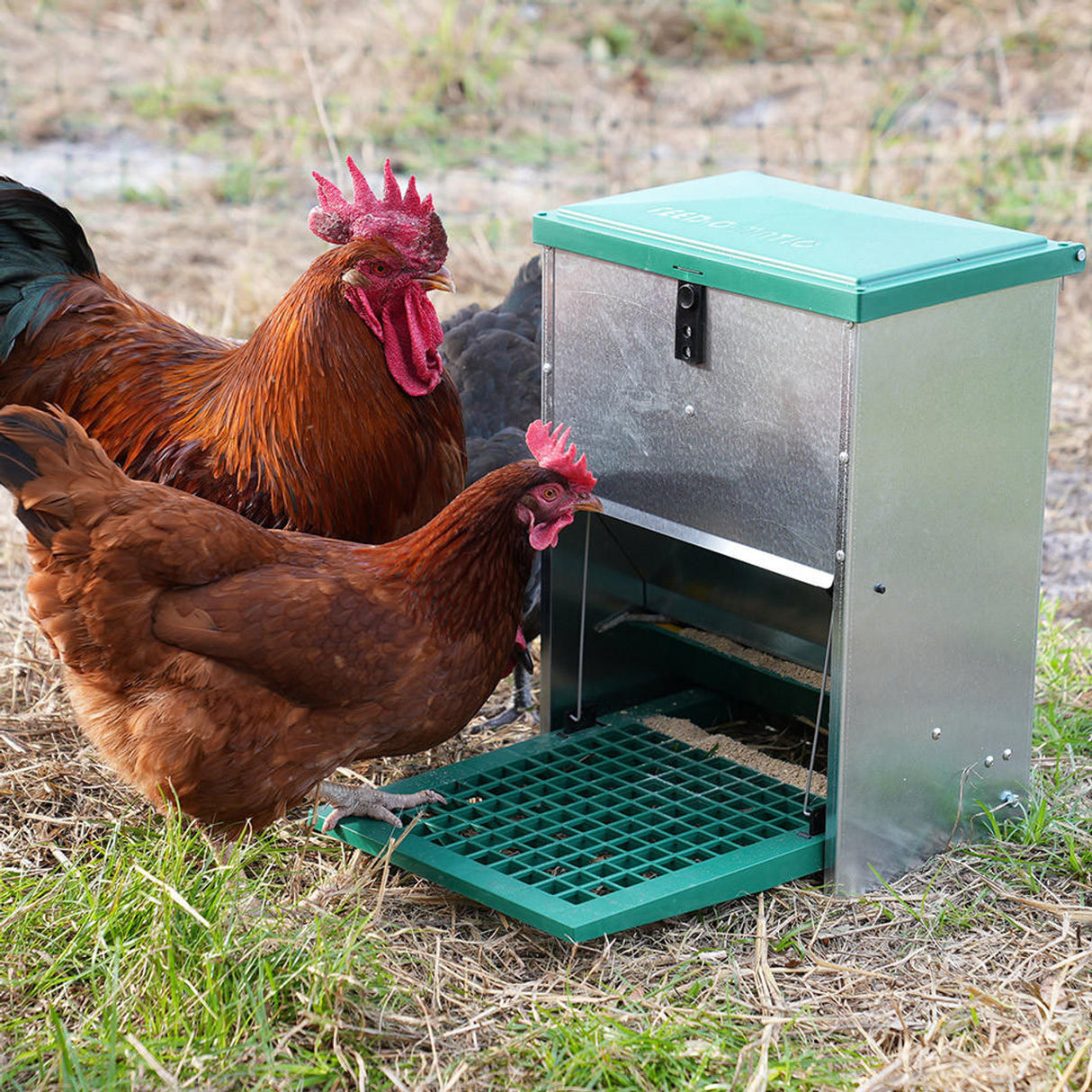 Feedomatic Automatic Treadle Feeder with chickens shown on the image
