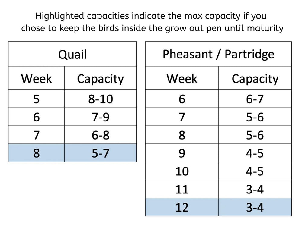 Grow Out Pen H:9.5 capacity chart for chickens, quail, pheasants, and ducks showing weekly bird limits