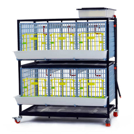 Hatching Time Cimuka GL40 15" Grow out pen. 2 layer can be seen with water reservoir on top for automatic drinker system. Feeding trough visible in front and manure tray below cage. System is on rolling casters.