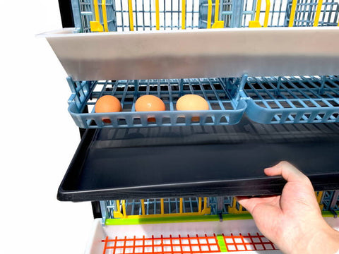 Manure Tray Sliding Out of Chicken Breeding Cage - Hatching Time