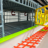 Hatching Time Cimuka. Interior view of quail cage with middle wall up.