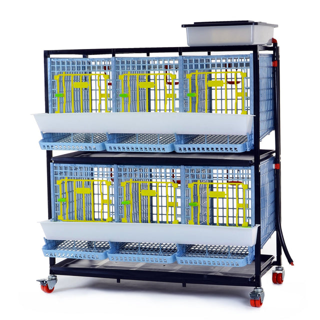 Hatching Time Cimuka. 2 Layer Partridge Cage can be seen with feeding troughs in front of doors, roll-out egg trays under each section. Gravity-fed water system tank is on top of cages with a hose connected down to each section. Cage system is on wheels. 
