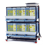 Hatching Time Cimuka. 2 Layer Partridge Cage can be seen with feeding troughs in front of doors, roll-out egg trays under each section. Gravity-fed water system tank is on top of cages with a hose connected down to each section. Cage system is on wheels. 