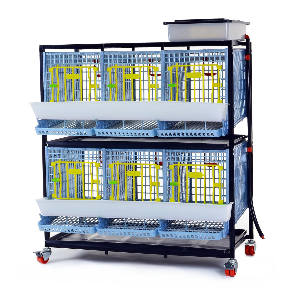 Hatching Time Cimuka. 2 Layer Partridge Cage can be seen with feeding troughs in front of doors, roll-out egg trays under each section. Gravity-fed water system tank is on top of cages with a hose connected down to each section. Cage system is on wheels. 