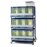 Hatching Time Cimuka. 3 Layer Partridge Cage can be seen with feeding troughs in front of doors, roll-out egg trays under each section. Gravity-fed water system tank is on top of cages with a hose connected down to each section. Cage system is on wheels. 