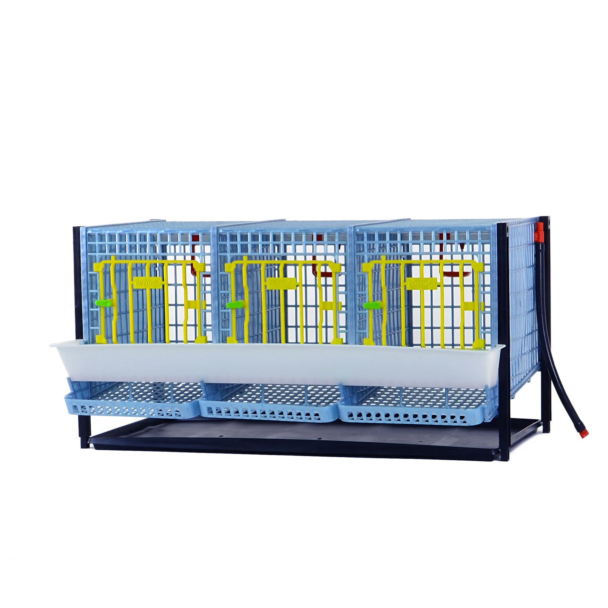 Hatching Time Cimuka. Partridge Cage layer addition can be seen with feeding troughs in front of doors, roll-out egg trays under each section. Gravity-fed water system tank is on top of cages with a hose connected down to each section. Cage system does not include wheels.