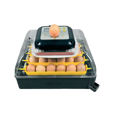 Automatic egg incubator with digital display and trays holding chicken eggs
