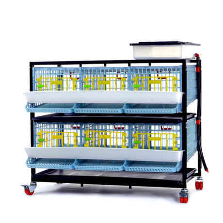 Hatching Time Cimuka 2 Layer Quail Cage front visible. Feeding trough is located on front of brooders.  Plastic doors with locks can be seen. Manure trays and egg collection roll-out trays visible on front. Quail Cages are on Metal frame with rolling casters for mobility.