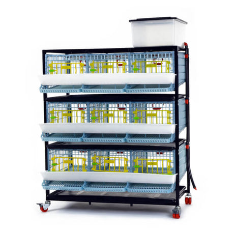 Hatching Time Cimuka 3 Layer Quail Cage front visible. Feeding trough is located on front of brooders.  Plastic doors with locks can be seen. Manure trays and egg collection roll-out trays visible on front. Quail Cages are on Metal frame with rolling casters for mobility.