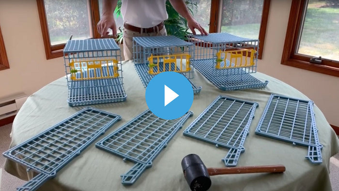 Quail cage assembly video thumbnail with play icon