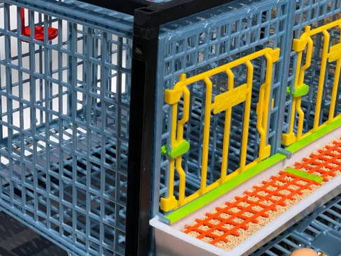 Smart Feeder for Chickens - Hatching Time
