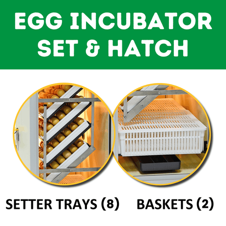 HB350 C - Combined Egg Incubator and Hatcher