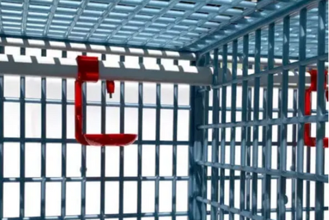 Drinker Cups Prevent Bird Wetting - Hatching Time